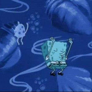 Meet your Posher, Joseph